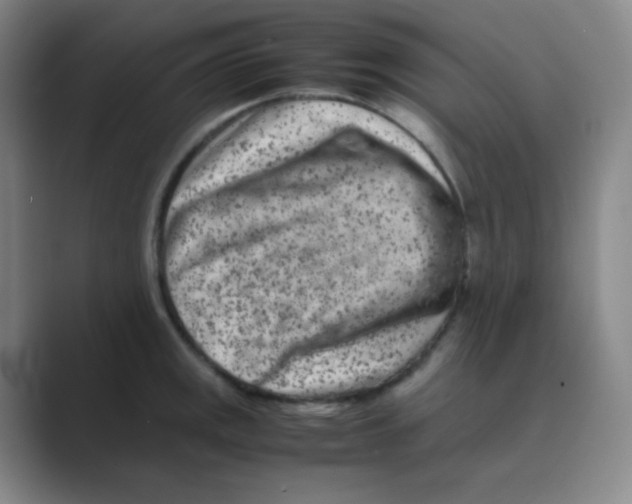 X0000088701141200706282018