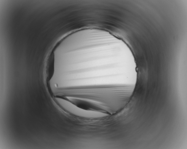 X0000088701143200706282018