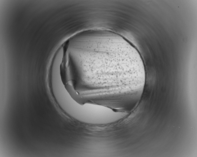 X0000088701144200706282018