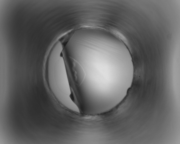 X0000088701146200706282018