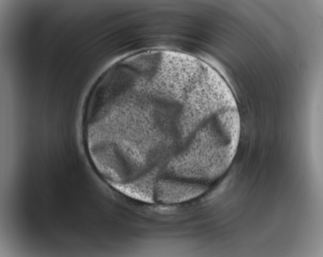 X0000088701147200706282018