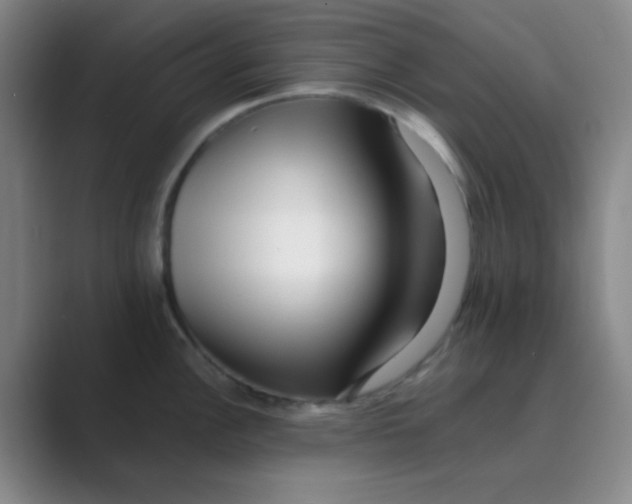 X0000088701148200706282018