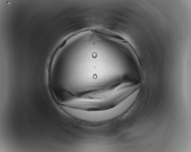 X0000088701151200706282018