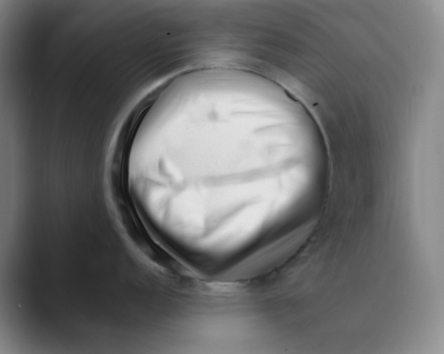 X0000088701152200706282018