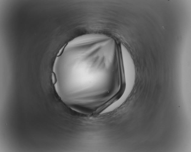 X0000088701153200706282017