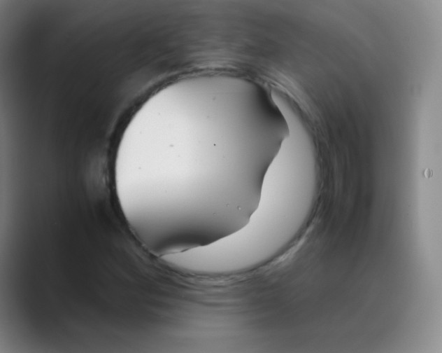 X0000088701164200706282017