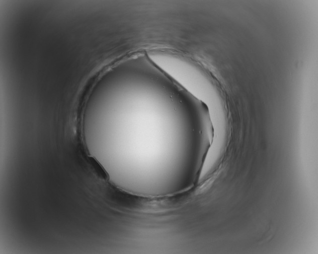 X0000088701165200706282017