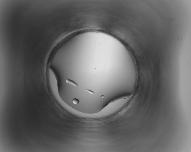 X0000088701168200706282017