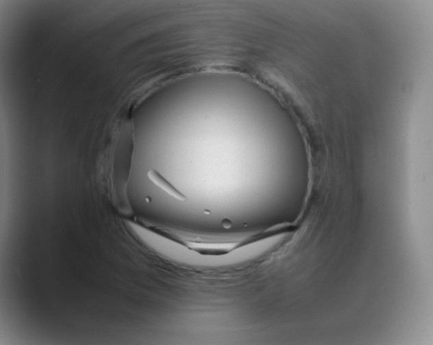 X0000088701169200706282017