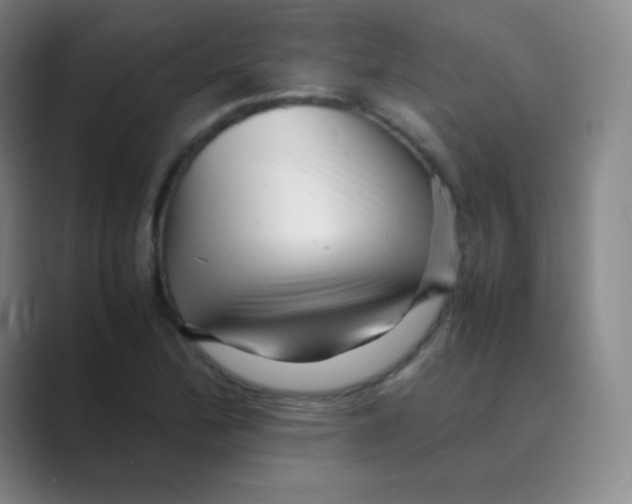 X0000088701172200706282017