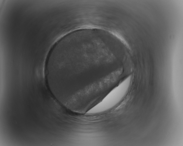 X0000088701173200706282017