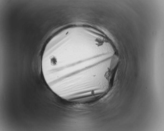 X0000088701175200706282017