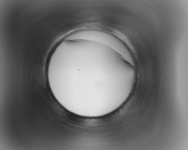 X0000088701176200706282017