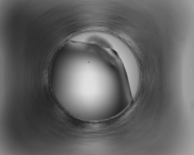 X0000088701177200706282017