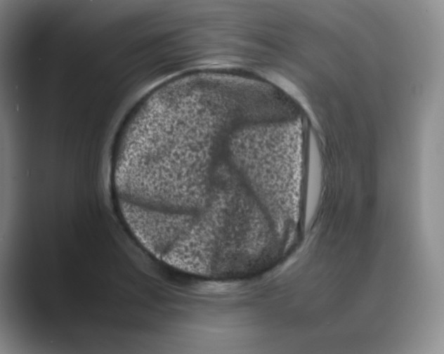 X0000088701179200706282017