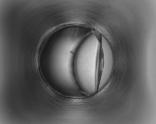 X0000088701180200706282017