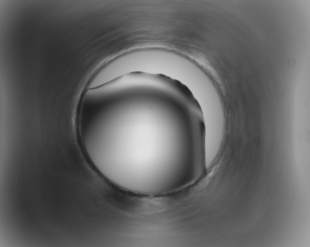 X0000088701181200706282017