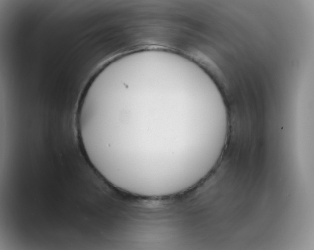 X0000088701182200706282017