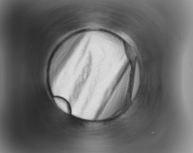 X0000088701183200706282017