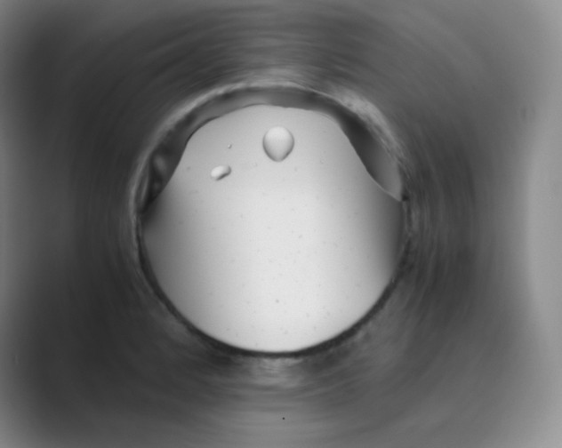 X0000088701184200706282017