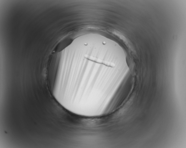 X0000088701185200706282017