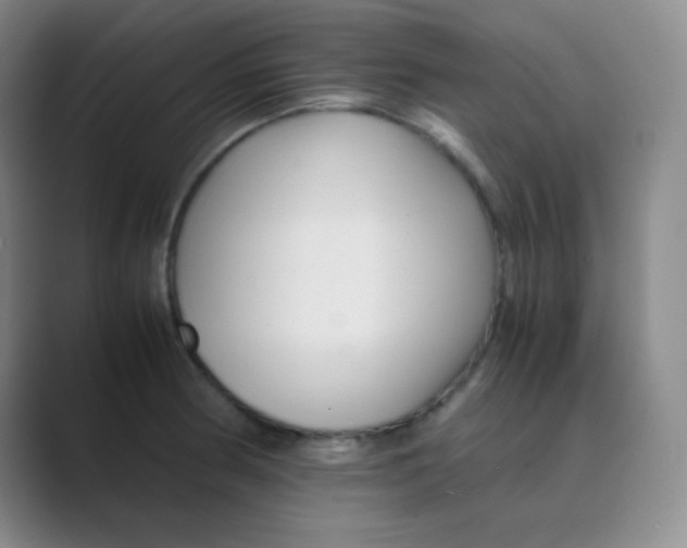 X0000088701186200706282017