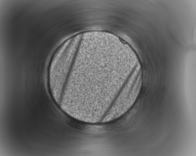 X0000088701187200706282017