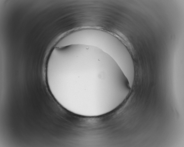 X0000088701188200706282017