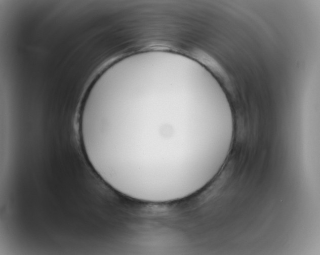 X0000088701190200706282017