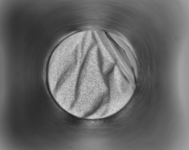 X0000088701195200706282016