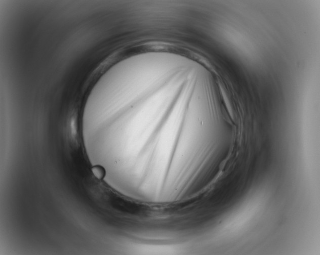 X0000088701198200706282016