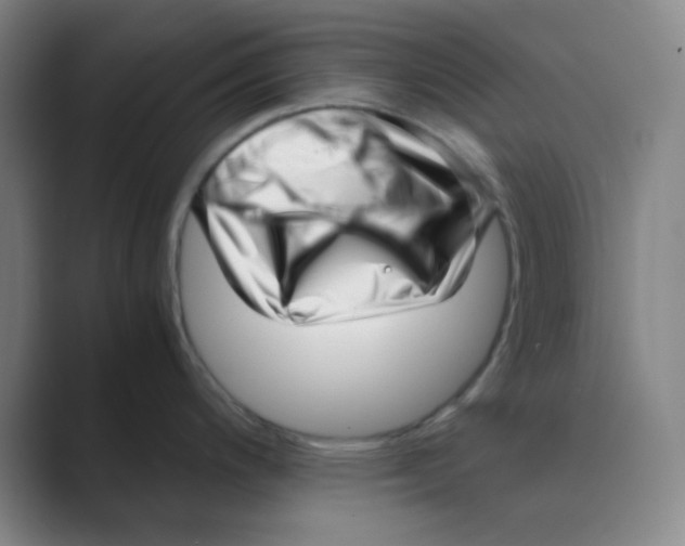 X0000088701200200706282016