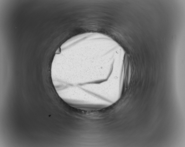 X0000088701201200706282016