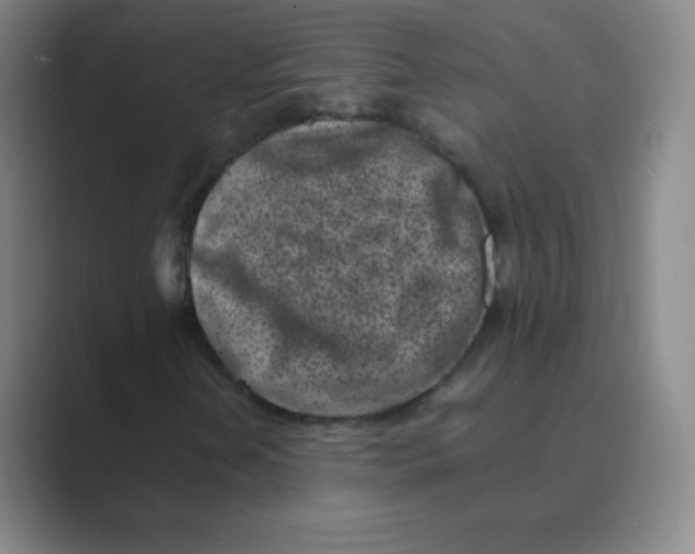 X0000088701202200706282016