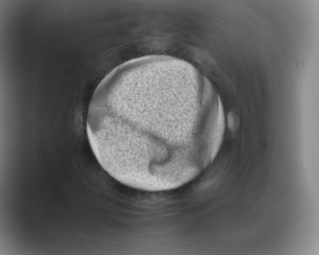 X0000088701203200706282016