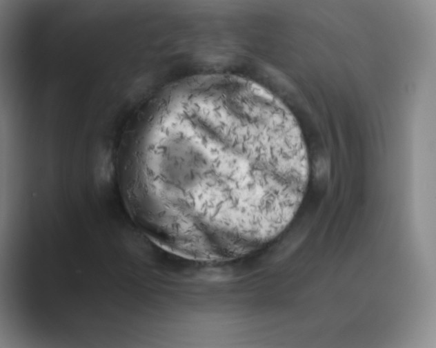 X0000088701204200706282016