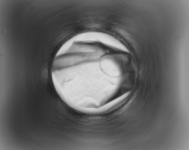 X0000088701209200706282016