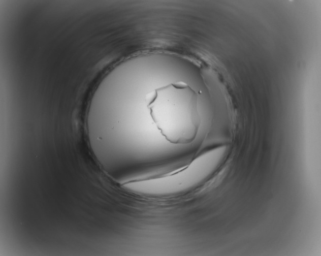 X0000088701210200706282016