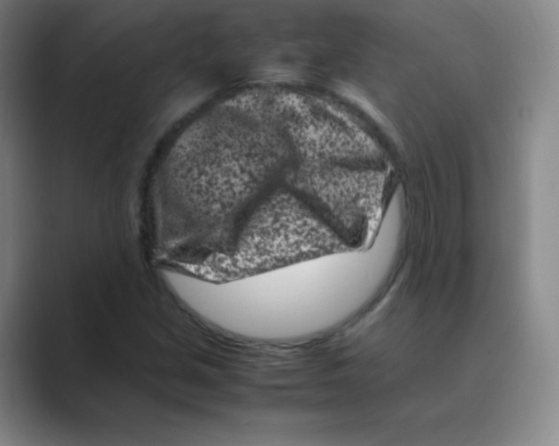 X0000088701213200706282016