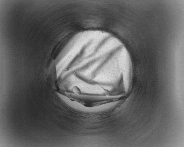 X0000088701217200706282016