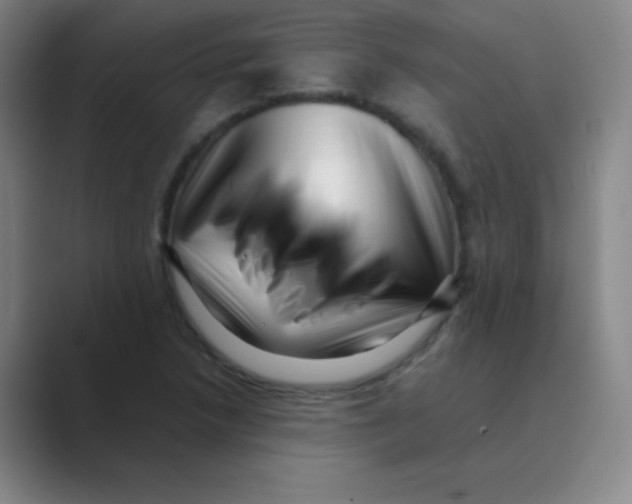 X0000088701218200706282016