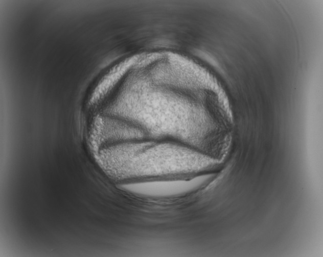 X0000088701219200706282016