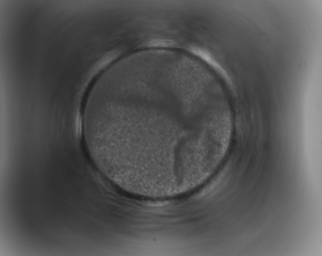 X0000088701221200706282016