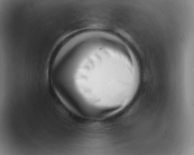 X0000088701222200706282016