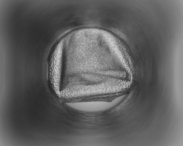 X0000088701223200706282016