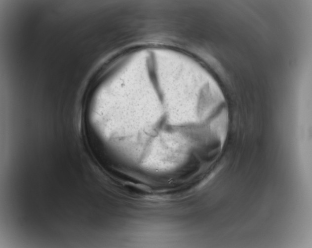 X0000088701224200706282016