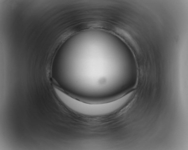 X0000088701225200706282016