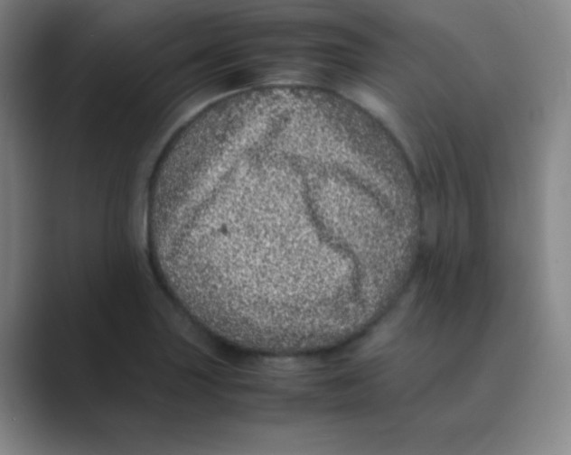 X0000088701227200706282016