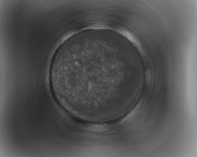 X0000088701229200706282016