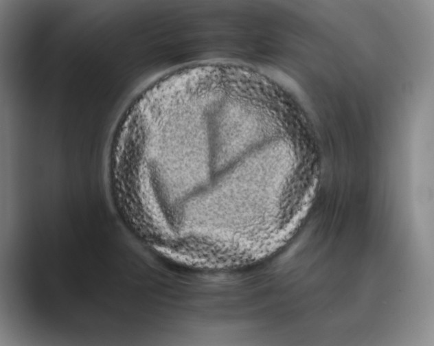 X0000088701231200706282016